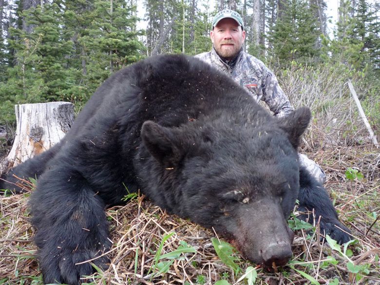 Black Bear Hunts, Bear Hunting | BC, Canada | Inzana Outfitters