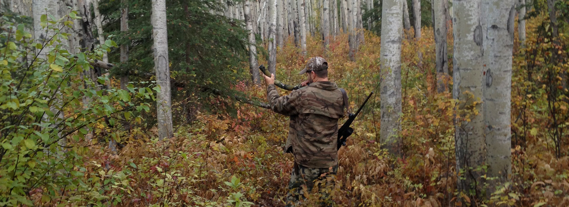 BC Bear Hunting, Moose and Grizzly Bear Hunts, Wolf Hunting, Trapline ...