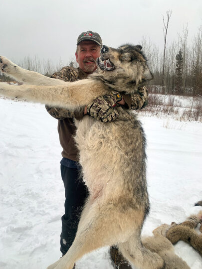 BC Wolf Hunting