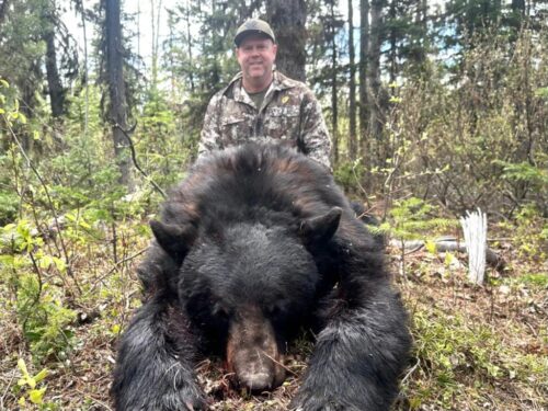 Black Bear Hunt