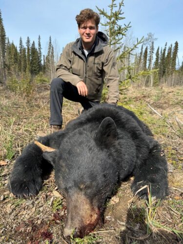 Black Bear Hunt