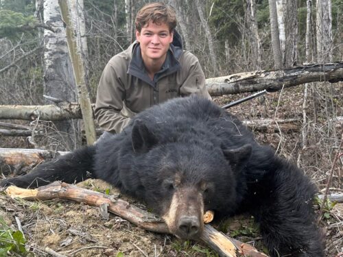 Black Bear Hunt