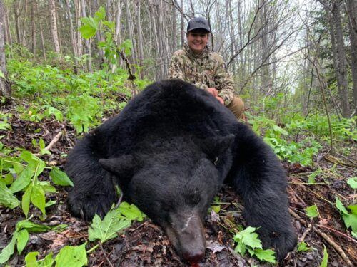 Black Bear Hunt