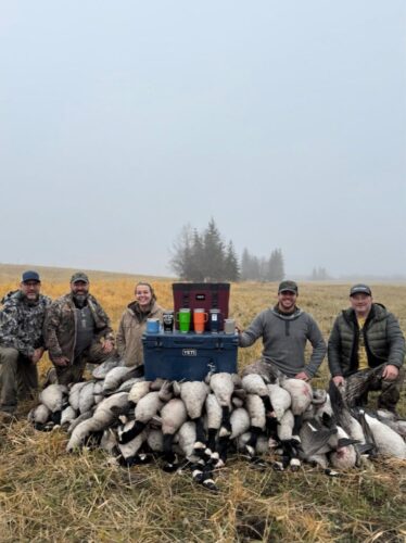 Canada Goose and Duck Hunt