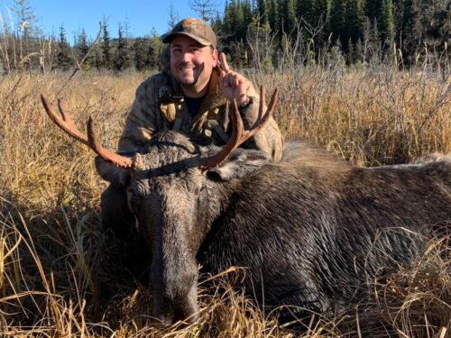 Moose Hunting BC