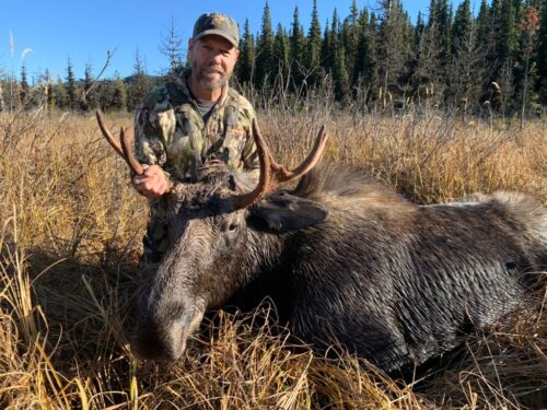 BC Moose Hunt