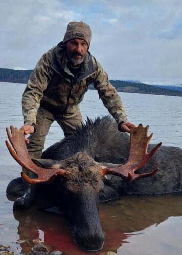 BC Moose Hunt