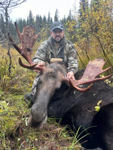 Moose Hunting BC