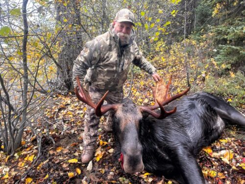 Canada Moose hunt